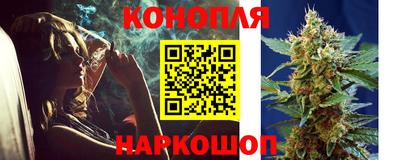 мдпв Можга