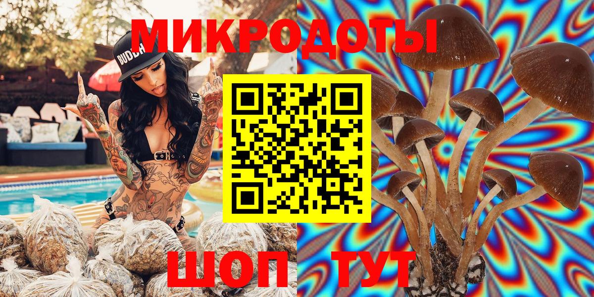 Протвино  Псилоцибиновые грибы MAGIC MUSHROOMS  что такое наркотик  Вход с VPN 