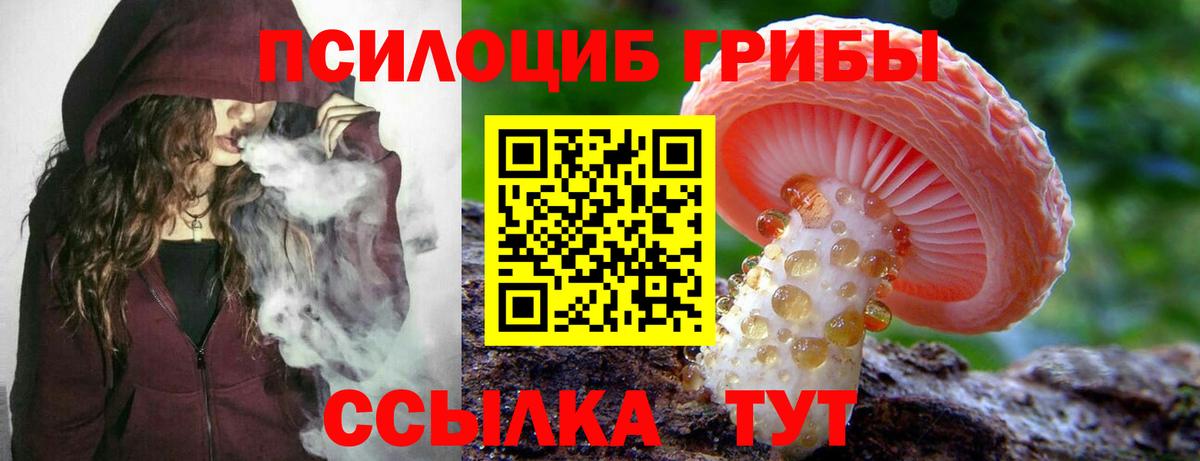 Галлюциногенные грибы MAGIC MUSHROOMS Протвино